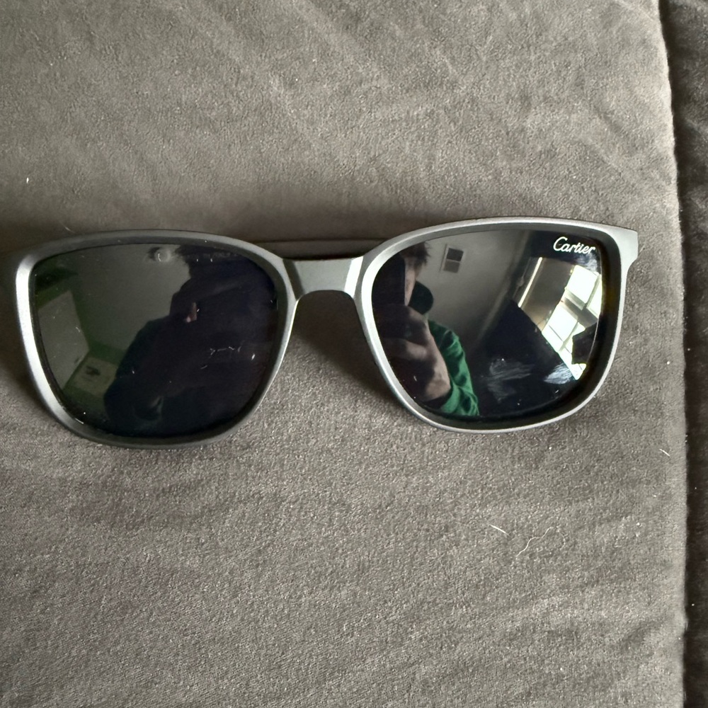 Cartier Gray and Black Sunglasses